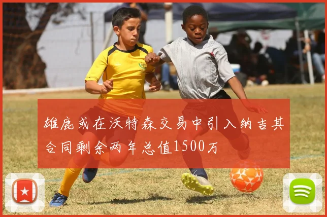 雄鹿或在沃特森交易中引入纳吉其合同剩余两年总值1500万
