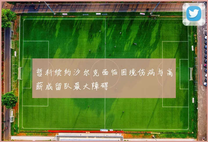 哲科续约沙尔克面临困境伤病与高薪成留队最大障碍
